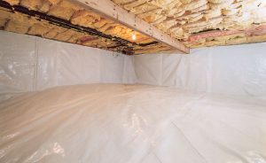 sealed crawl space after lg