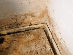 basement-waterproofing-ark-basement-services-1