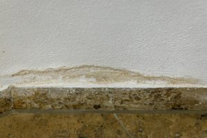 Water seepage and mineral staining along a basement floor wall joint caused by foundation moisture intrusion