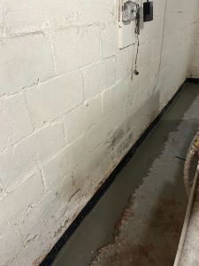 Chapman Completed Chapman Completed