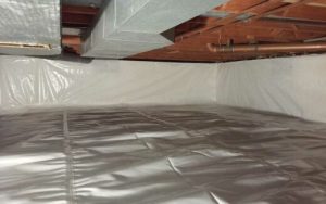 crawlspace after