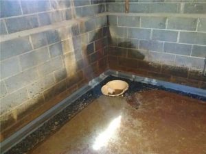 Basement leak repair services addressing standing water along concrete block foundation walls